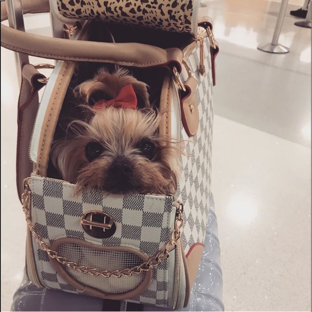 Fashion PU Leather dog carrier teacup travel